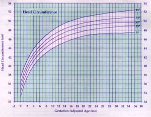 Infant Head Growth Chart